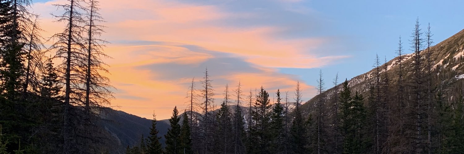madydreyling's profile banner image
