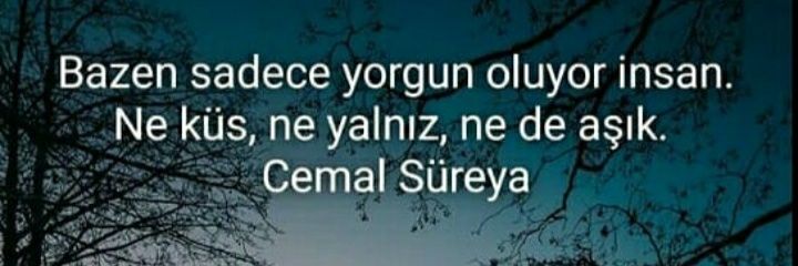m__mesutoglu's profile banner image
