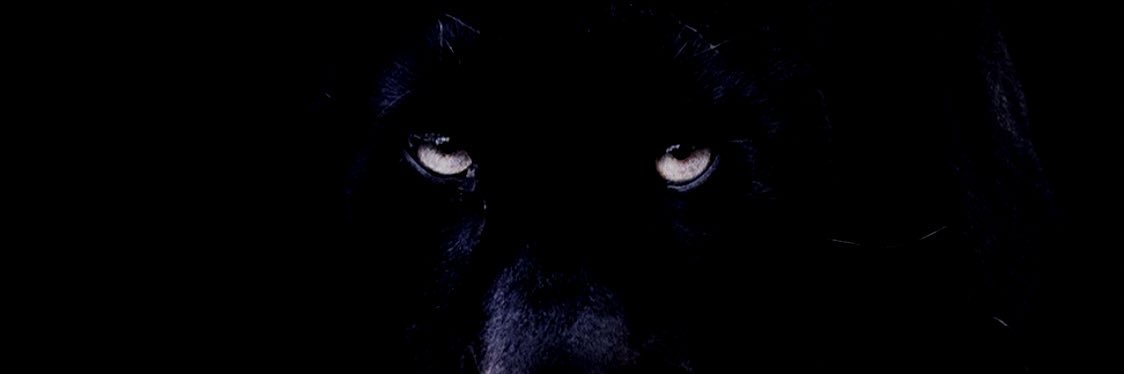 Kofinho1's profile banner image