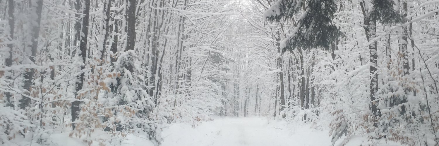 TiffLRader's profile banner image