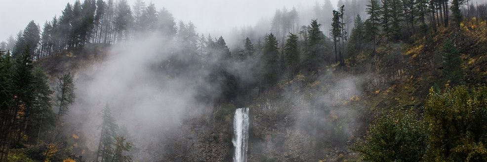 Back off, War Child🇺🇦🟦 banner