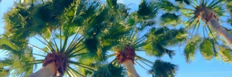 jacinoel_'s profile banner image