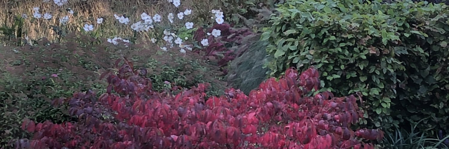 Anton Soethof banner