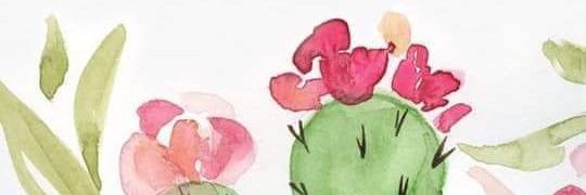 aleeee_coordero's profile banner image