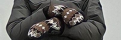 mimatzis's profile banner image