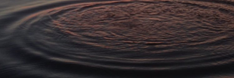 Nicestweiss's profile banner image