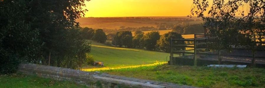 JaneHatwell's profile banner image