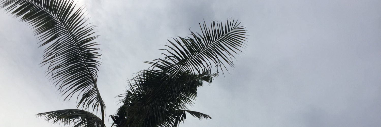 wthfabi's profile banner image