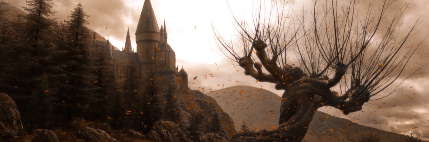 chaefira's profile banner image
