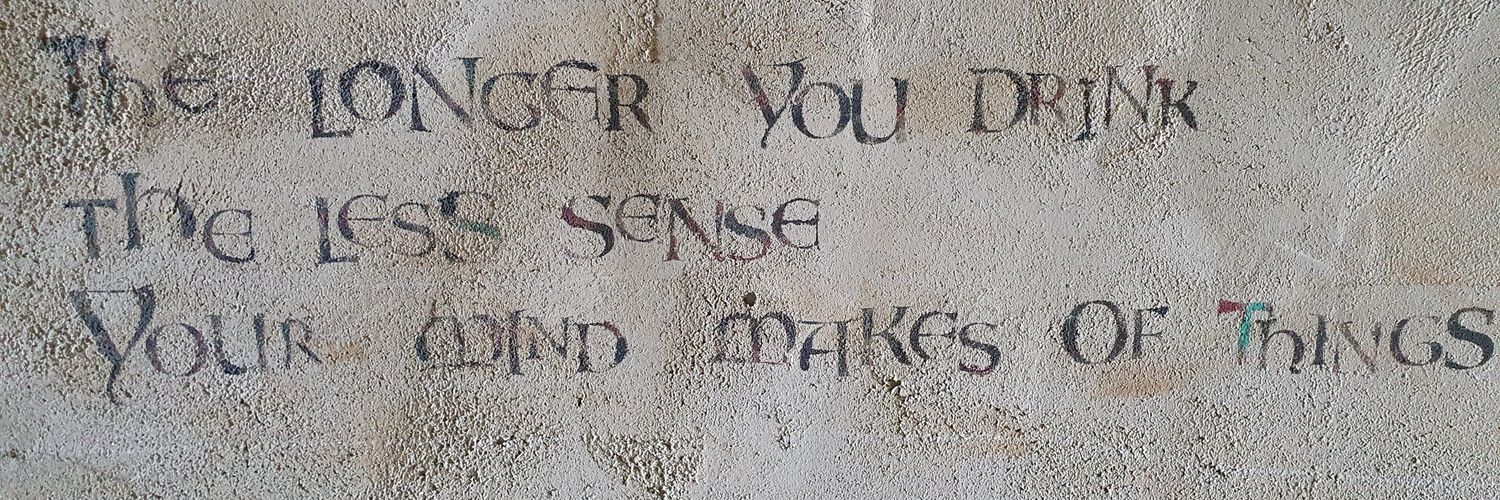 TheWildWexican 🇮🇪 banner