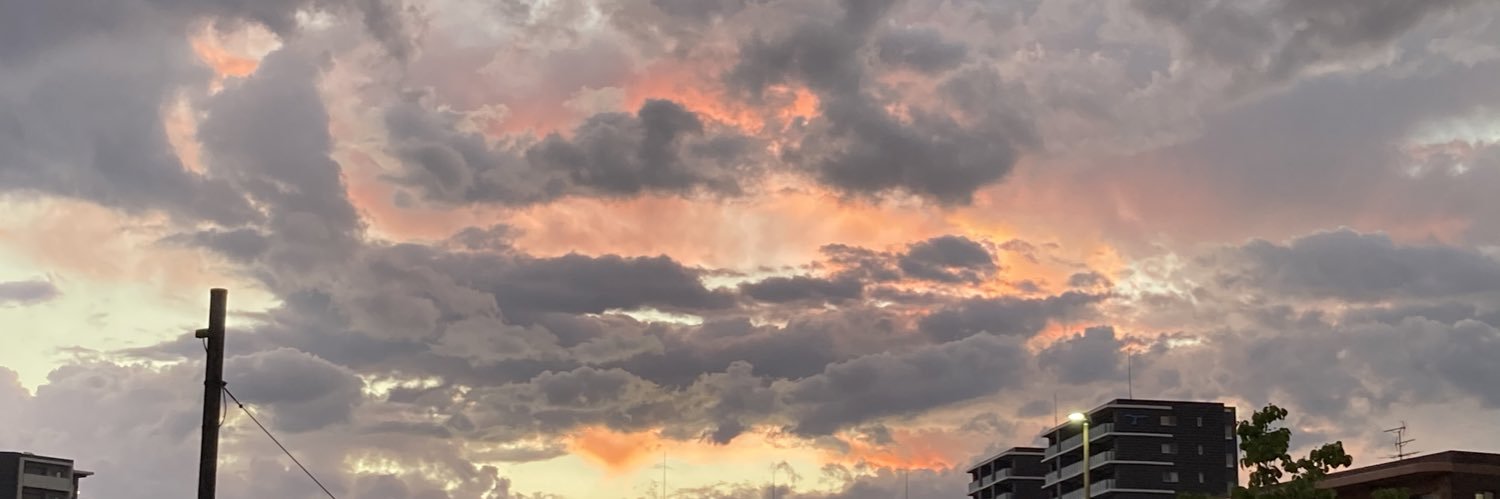 MidoriE0e's profile banner image
