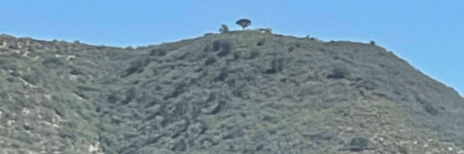 Faline England banner