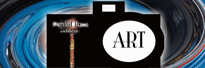 rose039's profile banner image