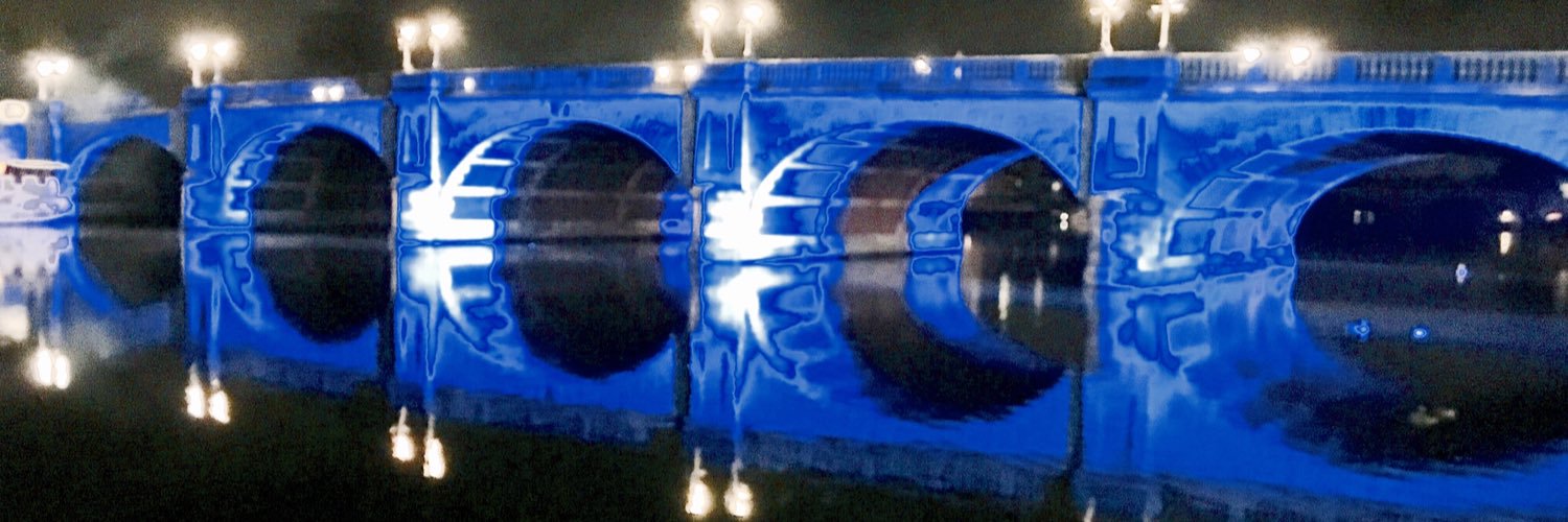 LilySurb's profile banner image