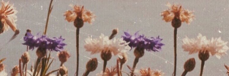 kenzgorm's profile banner image