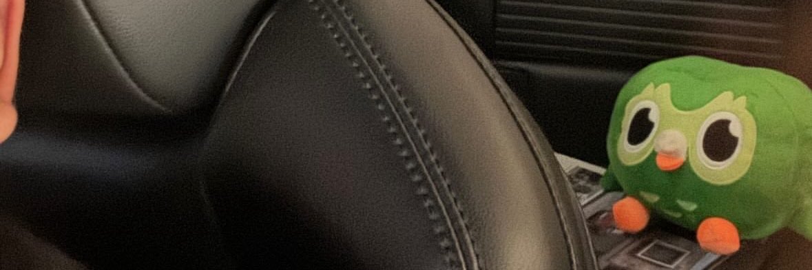 hamster2181q's profile banner image