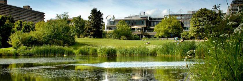 Stephen T Newman banner