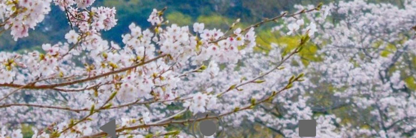 YG_staff's profile banner image