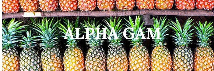 alphagamiwu's profile banner image