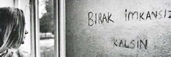 SelimKoaK16's profile banner image