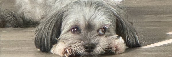 Rhy__an Profile Banner