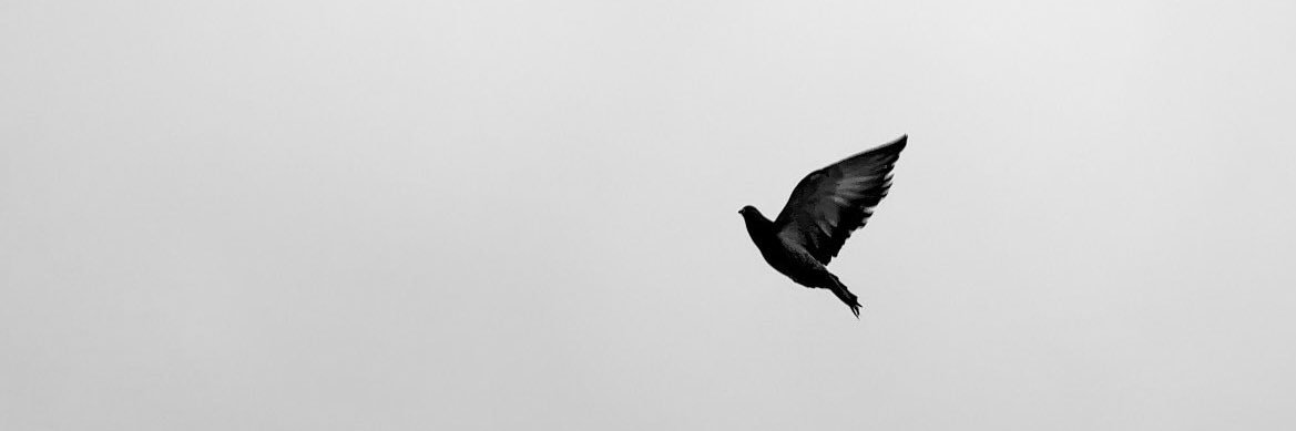 _HadeelR's profile banner image