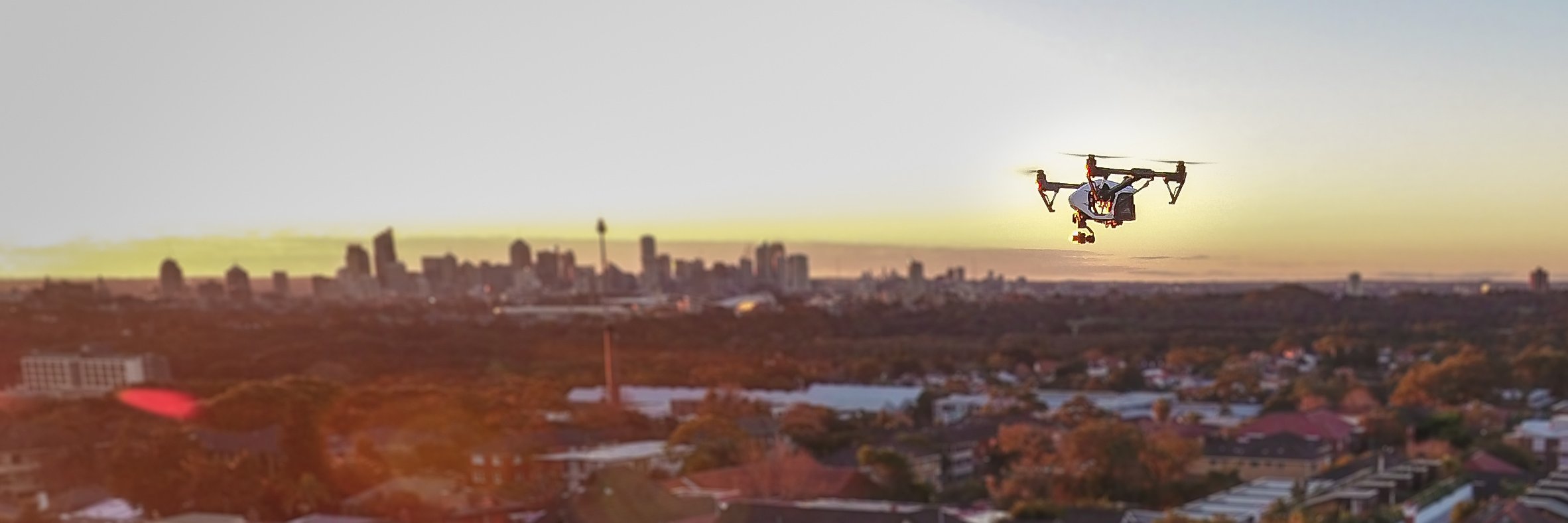 Sebastian Robertson banner