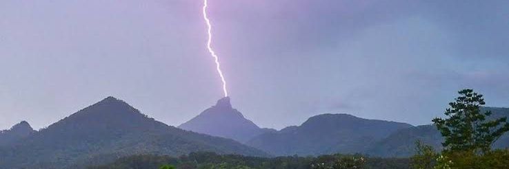 Oracle of Delphi🇦🇺 banner