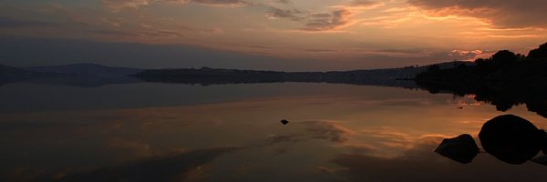niir Profile Banner