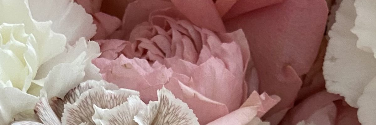 slkkkk2's profile banner image