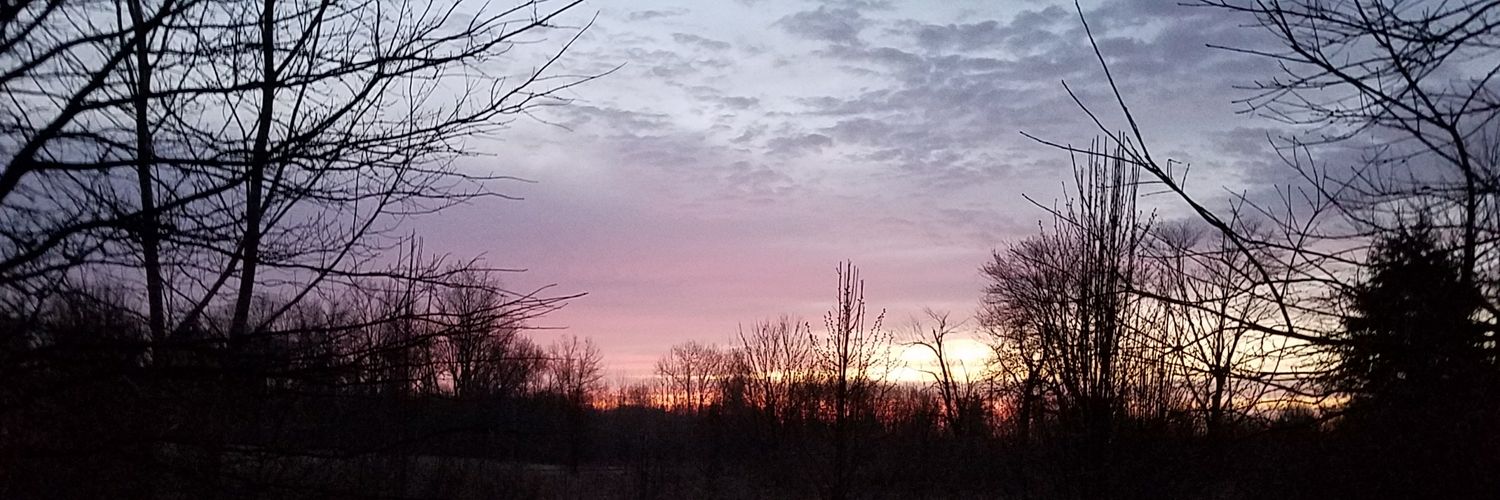 Debbie Turner banner