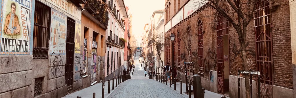 Beatriz G. Portalatín banner