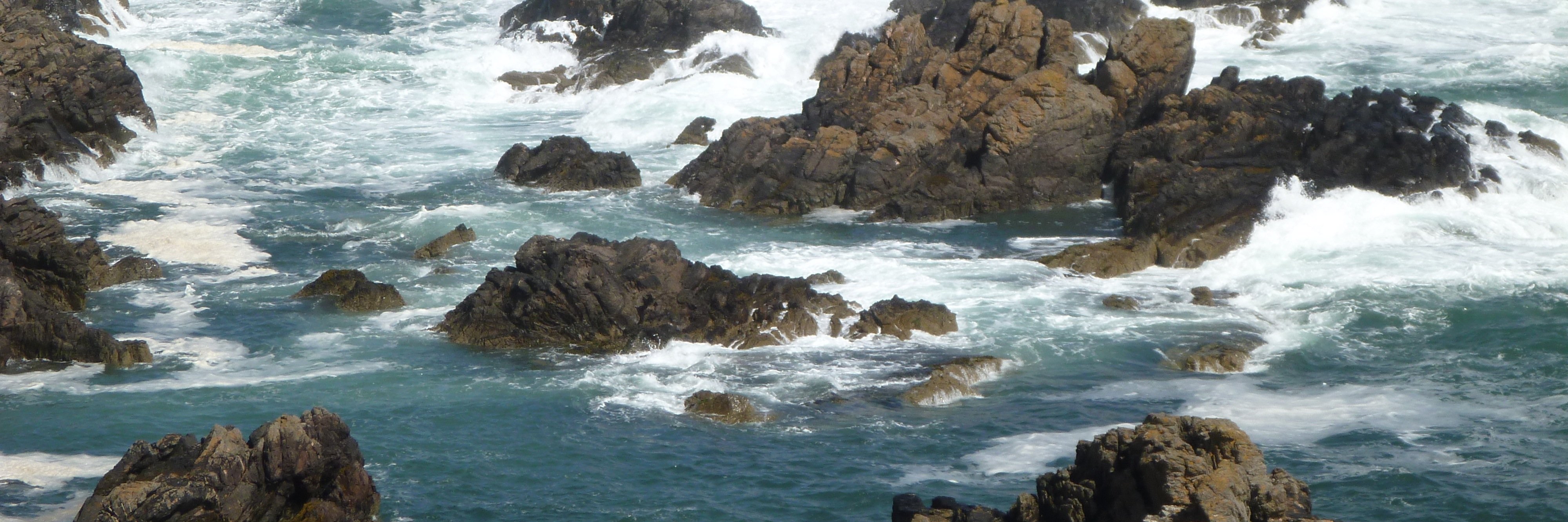 High Tide Adventure banner