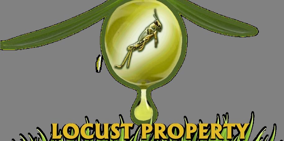 Timothy22177's profile banner image