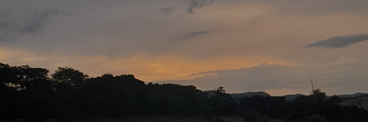 _aaamaandaa_'s profile banner image