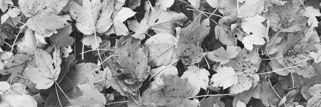 marinethomas97's profile banner image