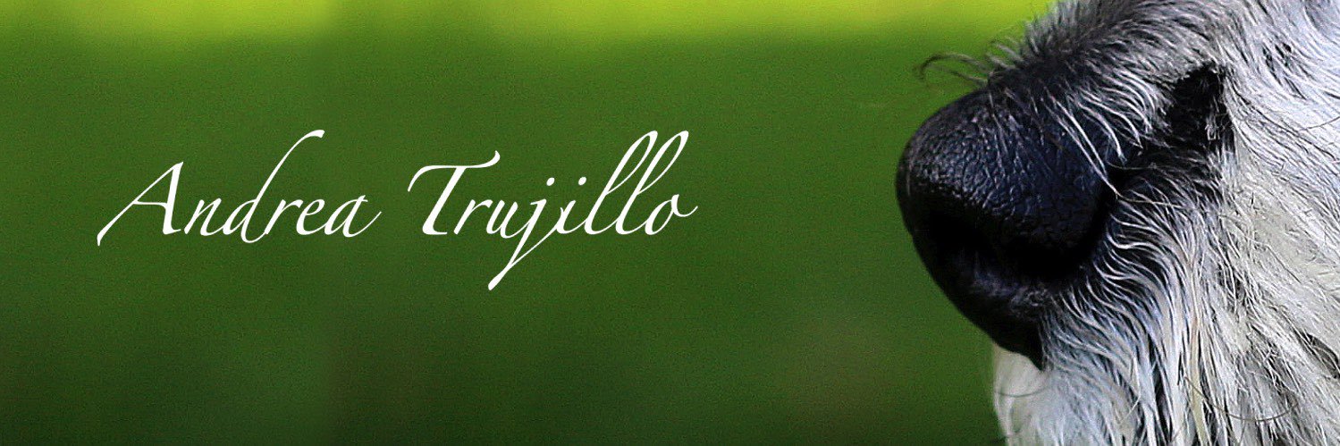 Andretrujillo3's profile banner image
