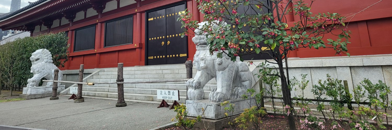 stephen carlin🌱 banner