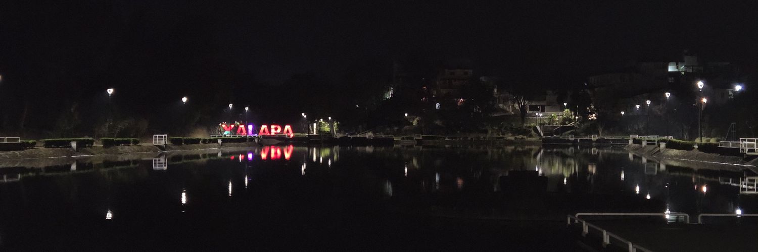 Dany_Alpaca's profile banner image