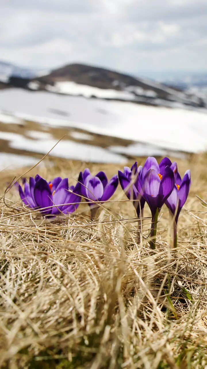 Raudatul Farihah banner