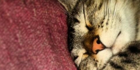 milivelasco's profile banner image