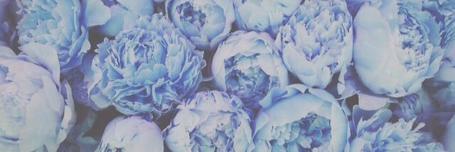 jansen_caroline's profile banner image