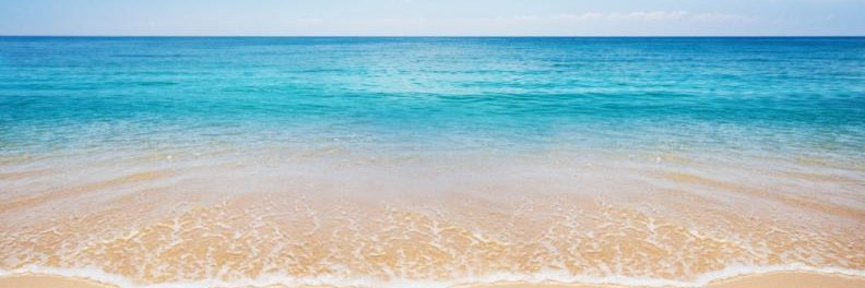 Andres A banner