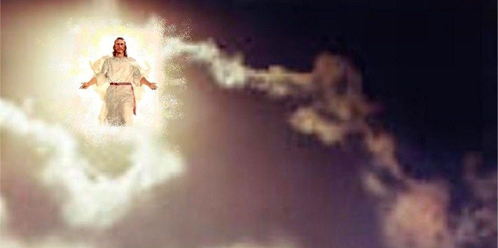 RufusRudy's profile banner image