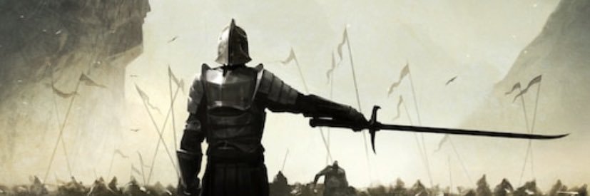 Diego Vallota banner