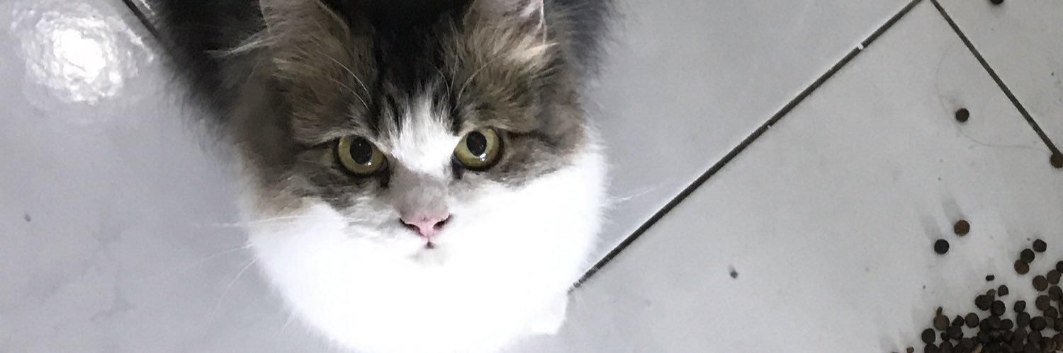 meerakhew's profile banner image