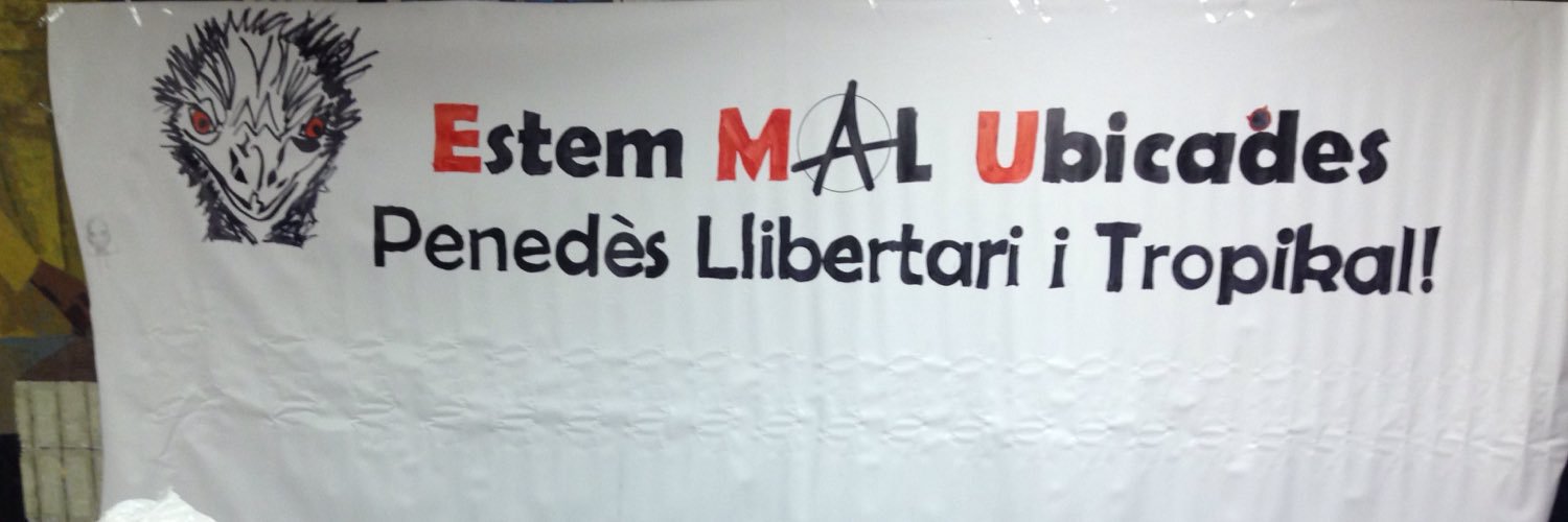 PLlibertari's profile banner image
