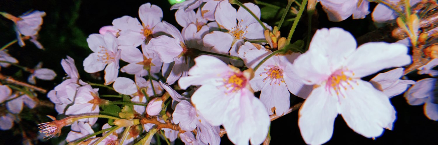 maaboo0813's profile banner image