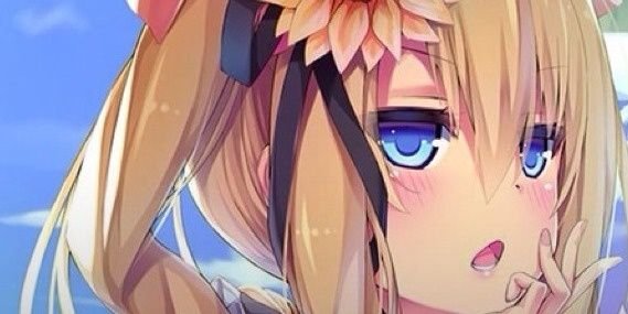 nekochya's profile banner image