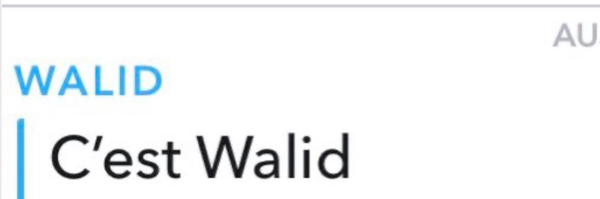 walid banner